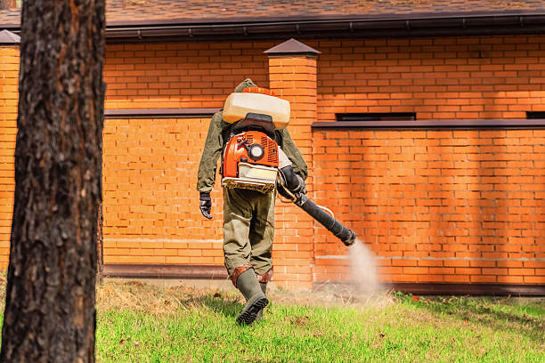 Bed Bug Clearance Verification and Documentation in Olivet